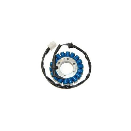 Stator ELECTROSPORT Kawasaki ZX6R/RR