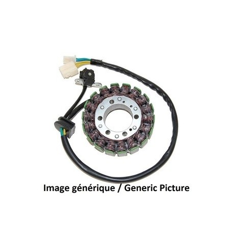 Stator ELECTROSPORT Hyosung GV650