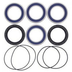 Kit roulements de roue arrière ALL BALLS Yamaha YFZ450R/YFM700R Raptor