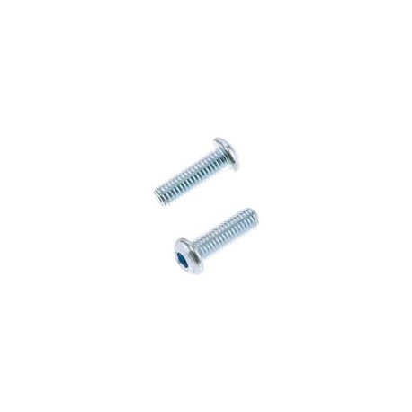 Vis tête bombée épaisse BOLT M6x1x20mm 10 pièces