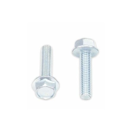 Vis à bride BOLT tête hexagonale 10mm M6x1x25mm 10 pièces