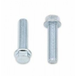 Vis à bride BOLT tête hexagonale 8mm M6x1x25mm 10 pièces