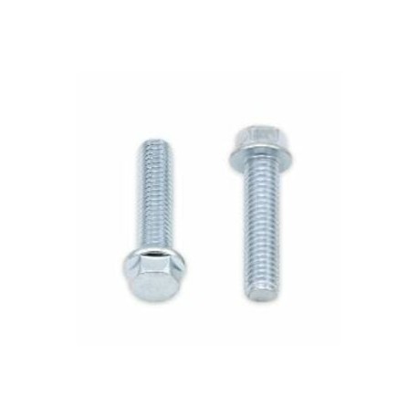 Vis à bride BOLT tête hexagonale 8mm M6x1x25mm 10 pièces