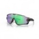 Lunettes de soleil OAKLEY Jawbreaker™ verres Prizm Road Jade