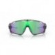 Lunettes de soleil OAKLEY Jawbreaker™ verres Prizm Road Jade