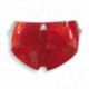 Tail Light LENS