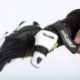 Gants RST TracTech Evo 4 Short - blanc/noir