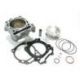 KIT CYLINDRE-PISTON ATHENA POUR SUZUKI RMZ450 '08-11, 490CC Ø100MM