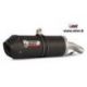 Silencieux MIVV Oval Carbon Cap carbone BMW R1150R