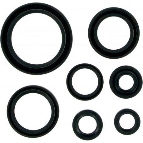 OIL SEAL SET