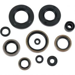 OIL SEAL SET