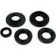 OIL SEAL SET