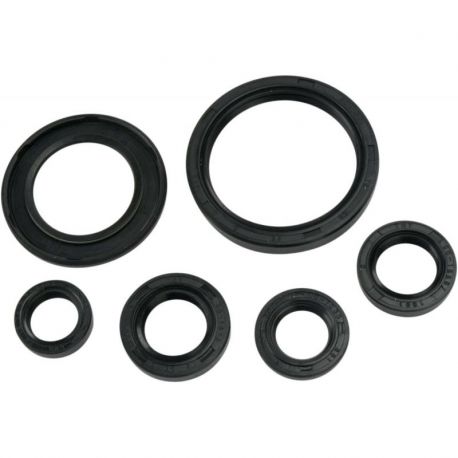 OIL SEAL SET