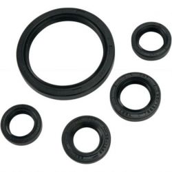 OIL SEAL SET