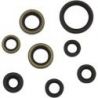 COMPLETE OIL SEAL SET