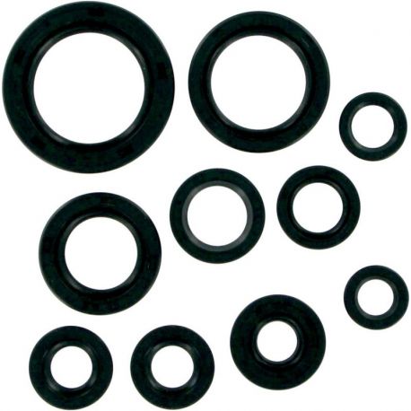 OIL SEAL SET