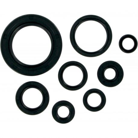 OIL SEAL SET