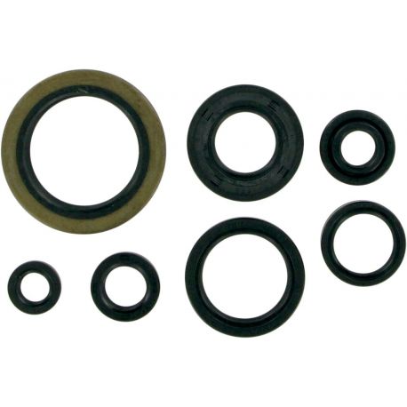 OIL SEAL SET