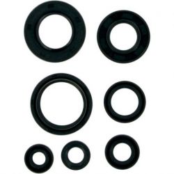 OIL SEAL SET