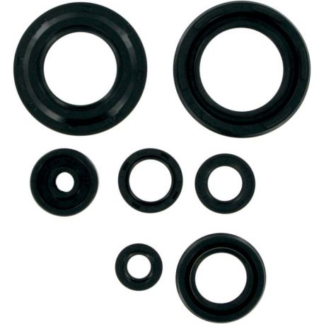 OIL SEAL SET