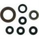 OIL SEAL SET