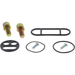 REBUILD KIT PETCOCK POL