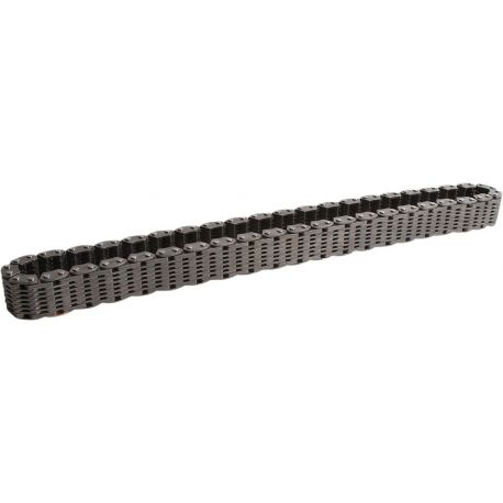 TRANSAXLE REAR DRV CHAIN