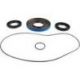 DIFFERENTIAL SEAL KIT RR