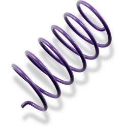 SECONDARY CLUTCH SPRING PURPLE