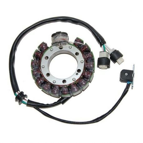 Stator ELECTROSPORT Yamaha YFM350 Big Bear/YFM350X Warrior