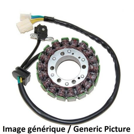 Stator ELECTROSPORT BMW S1000R