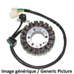 Stator ELECTROSPORT Kawasaki ZX10R