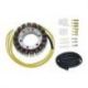 Stator ELECTROSPORT Honda XL1000 Varadero