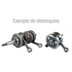 Vilebrequin TECNIUM masse pleine Peugeot Speedfight