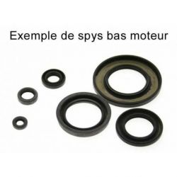 Pochette de joints spi bas moteur CENTAURO Honda SH300