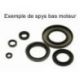 Pochette de joints spi bas moteur CENTAURO Sym GTS/JOYRIDE/CYTICOM 125