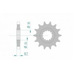 Pignon AFAM acier standard 21801 - 530