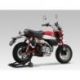 Silencieux YOSHIMURA GP-Magnum inox/casquette inox Honda Monkey 125