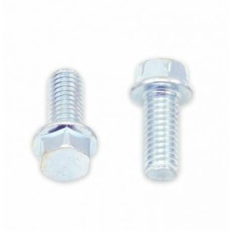 Vis à bride BOLT tête hexagonale 8mm M6x1x14mm 10 pièces