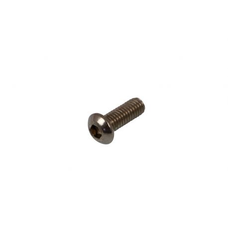 BOLT MOUNTING SCREW