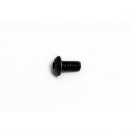 BOLT MOUNTING SCREW