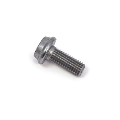 BOLT MOUNTING SCREW