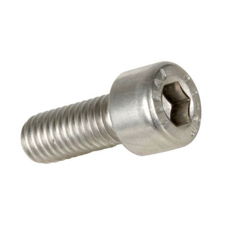 BOLT MOUNTING SCREW