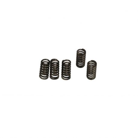 CLUTCH SPRING KIT (6 pièces)