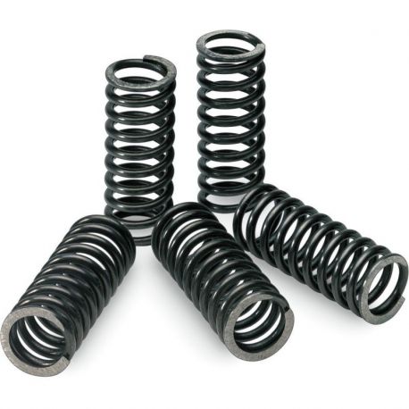 CLUTCH SPRINGS