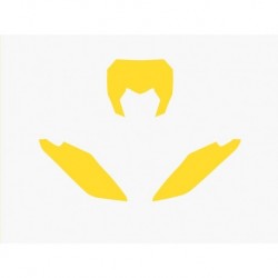 Fonds de plaque BLACKBIRD jaune Fantic XX