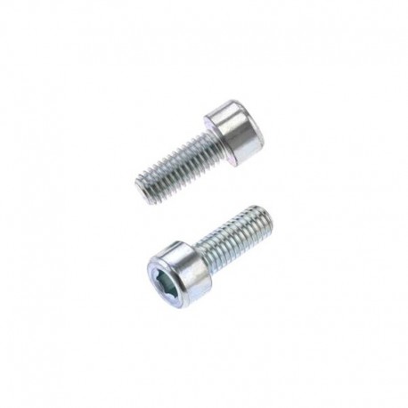 Vis CHC BOLT M8x1,25x20mm 10 pièces